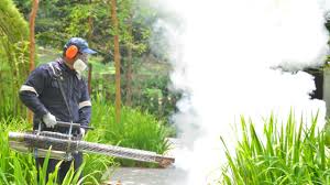 Best Fumigation Services  in Holualoa, HI